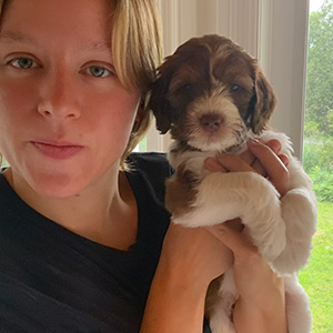 Golden Doodle Puppy, mom Molly