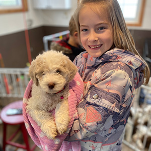 Golden Doodle Puppy, mom Zoey