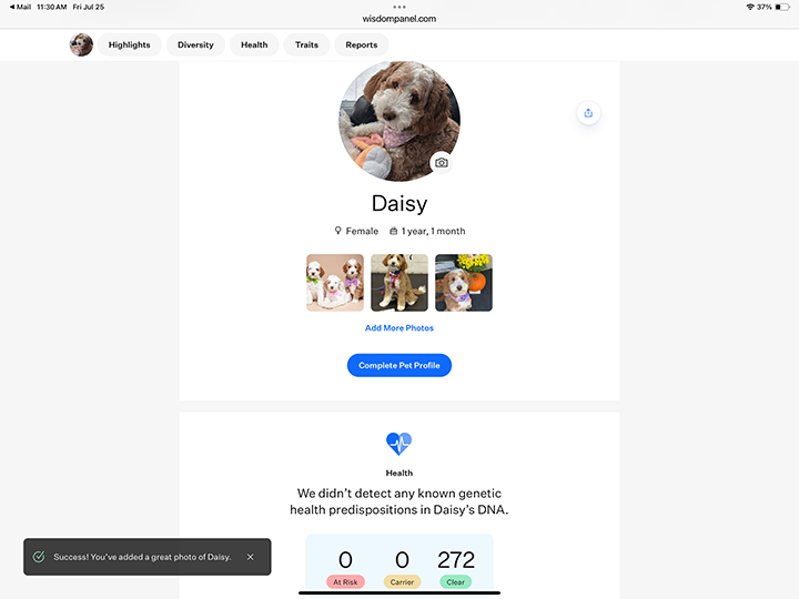 Wisdom Panel genetic testing results
